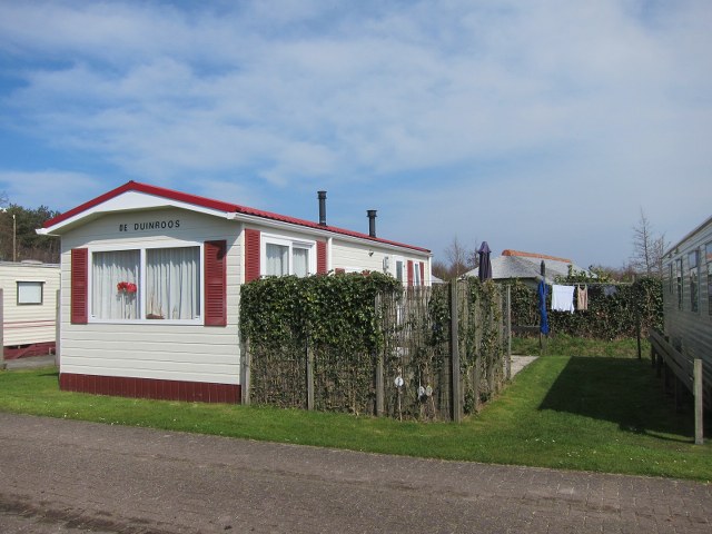 2016 Terschelling Duinroos nieuw